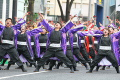 中部電力よさこいサークル 灯守