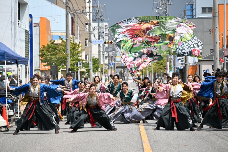 神戸学生よさこいチーム湊 チーム写真